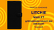 Чехол-книжка Litchie Wallet для Samsung Galaxy A02 SM-A022F Черный 0088576318p фото 8 | SOTAFON